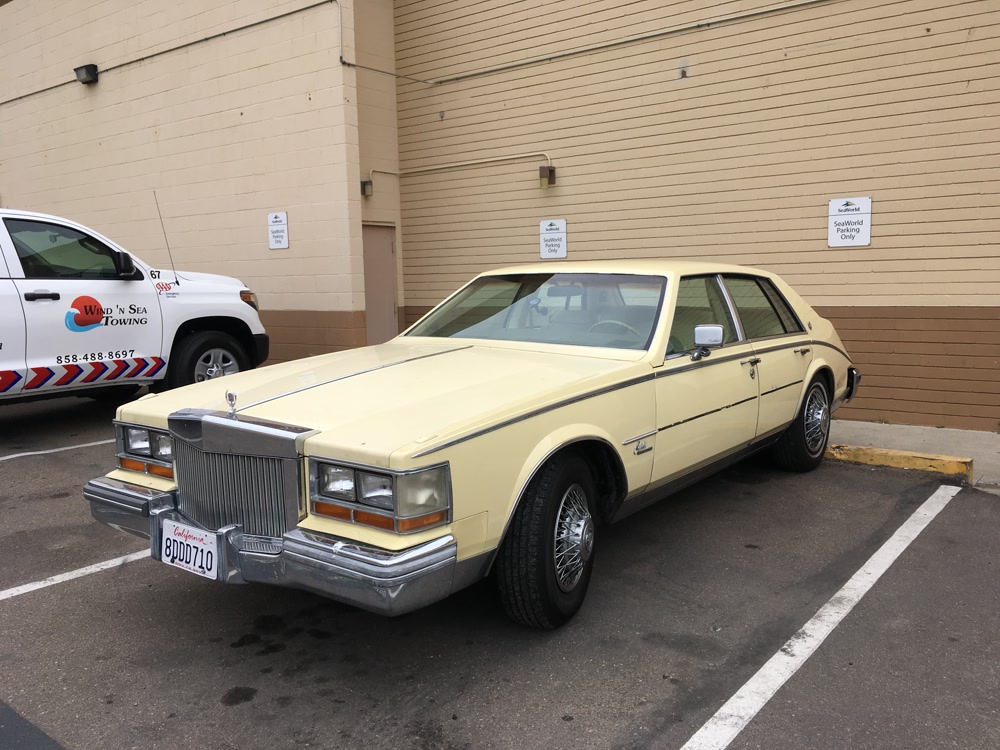 Slideshow Background